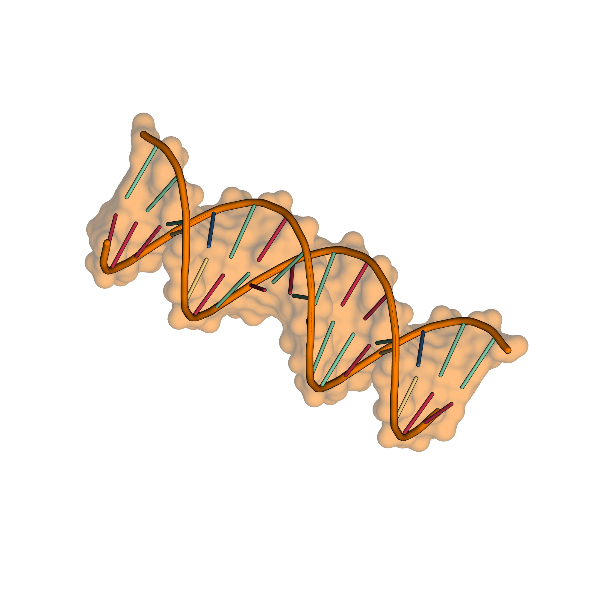 replication