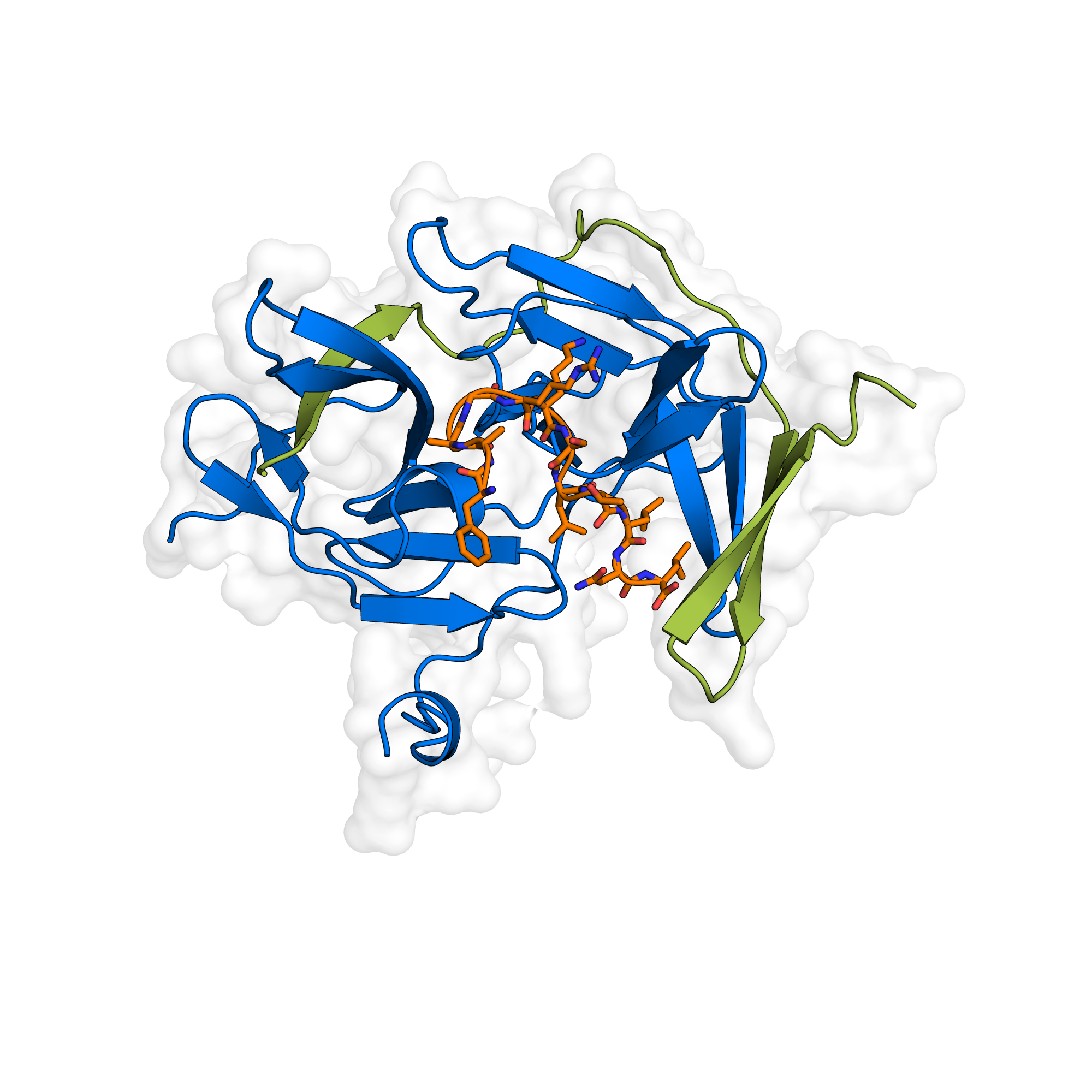 antivirals